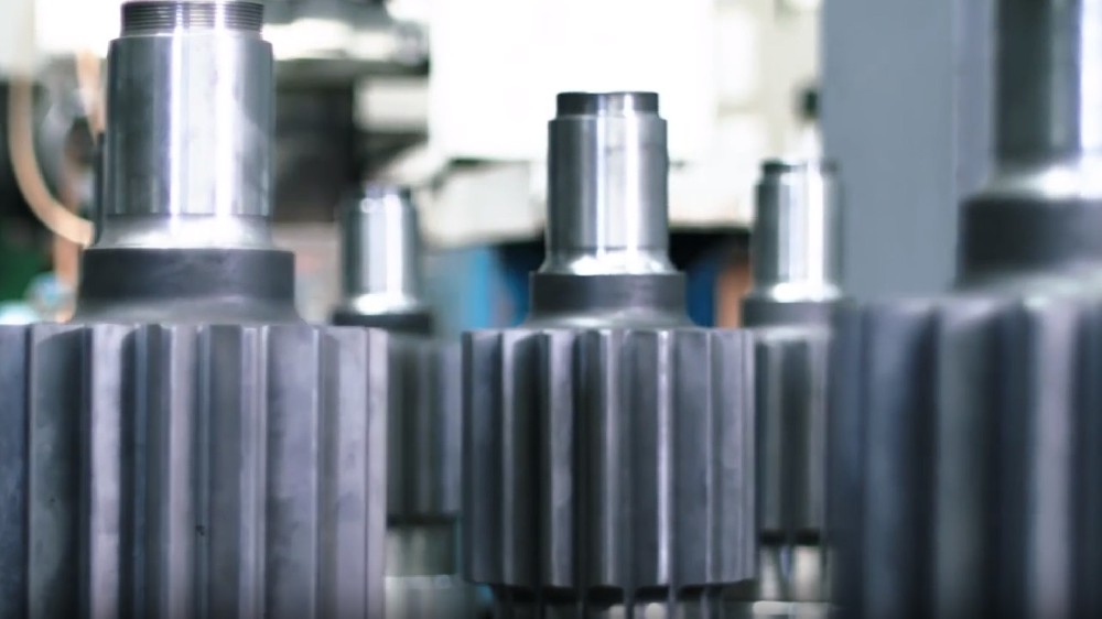 1745595535175311.jpg b3.jpg